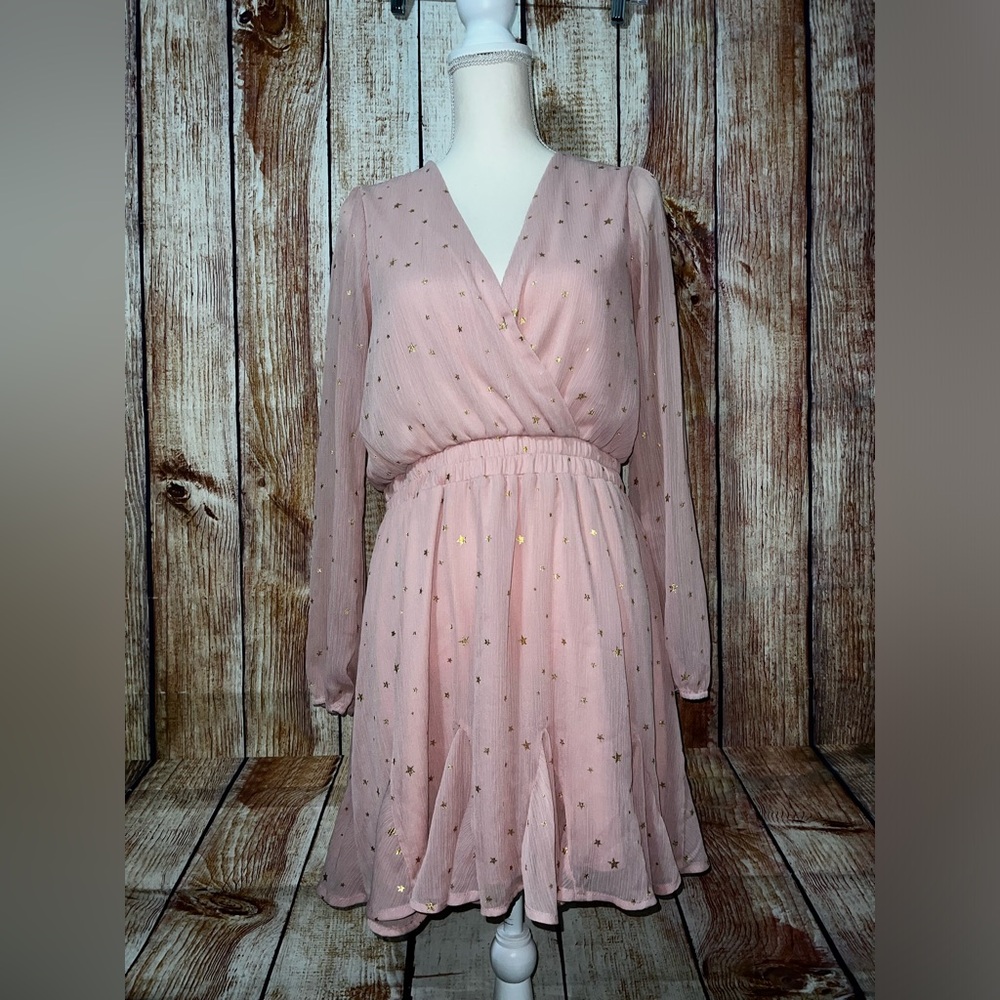 Altar’d State Pink sheer dress Size Large